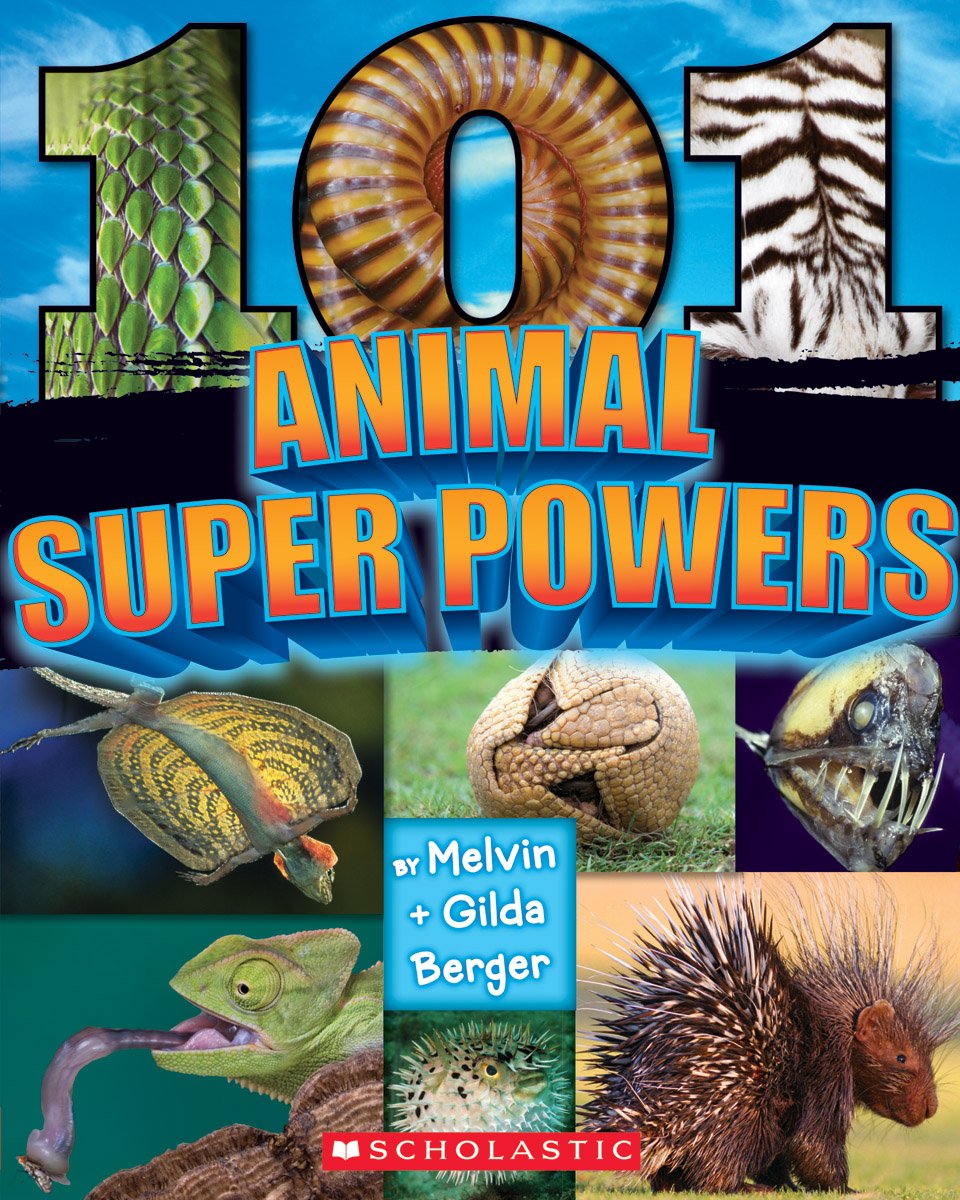 101-Animal-Superpowers-1.jpg